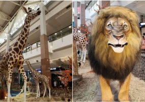 Smart Zoo no ItaúPower Shopping: Traga a família para se aventurar em um zoológico com réplicas de animais ultrarrealistas