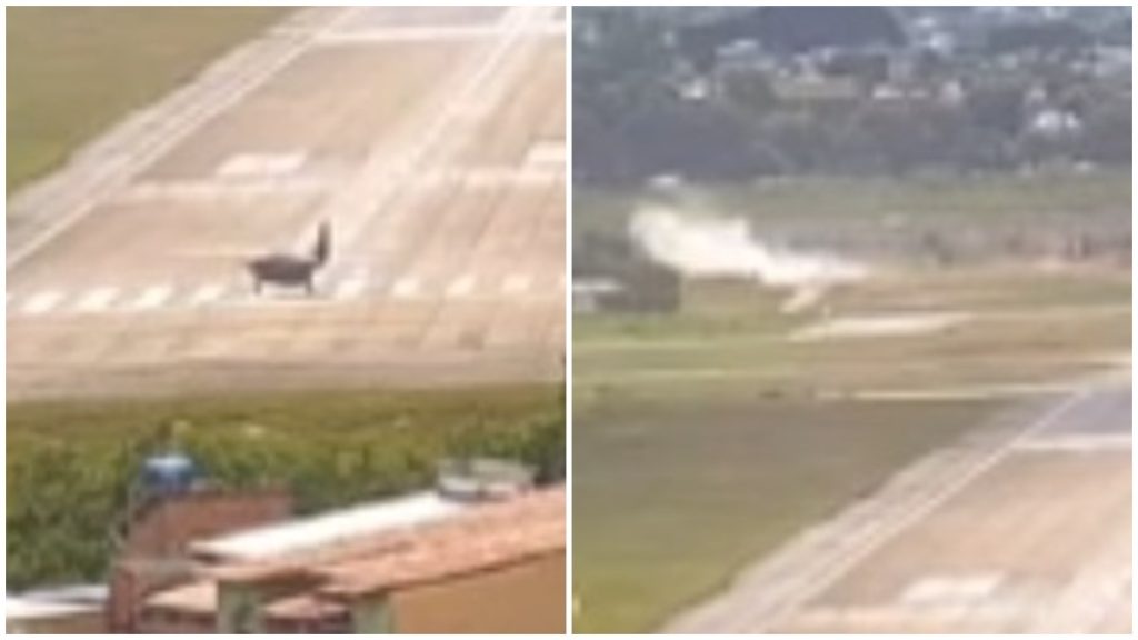 avião cai pampulha