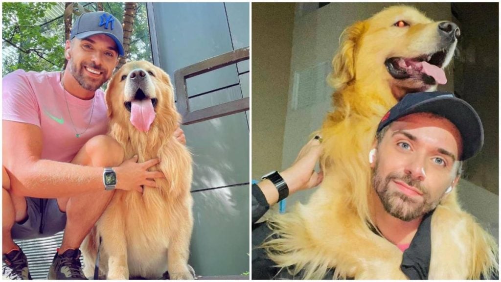 cachorro morre erro transporte aéreo gol