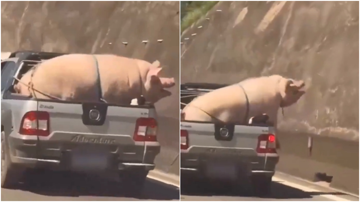 porco pick-up