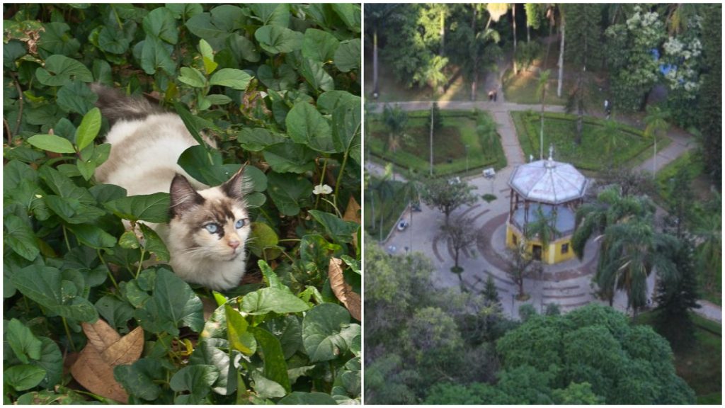parque municipal de bh novo horário