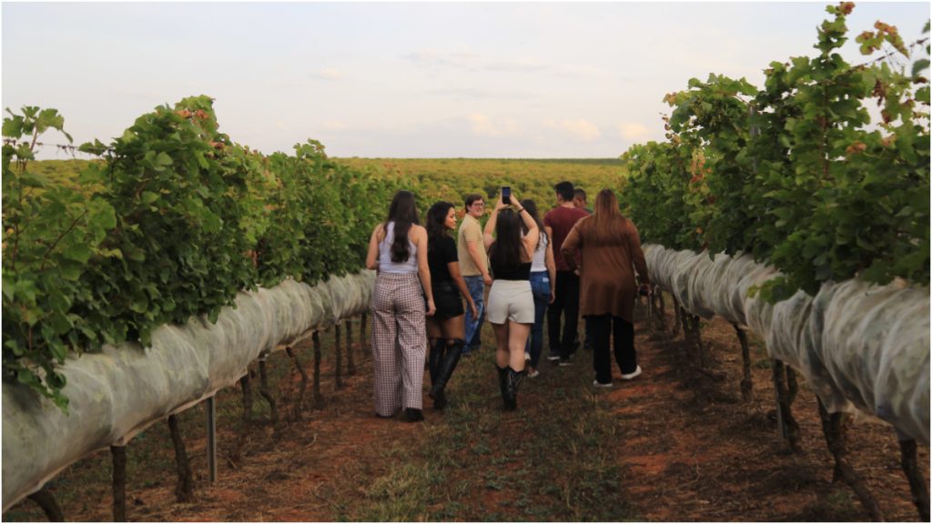 vinícolas minas gerais