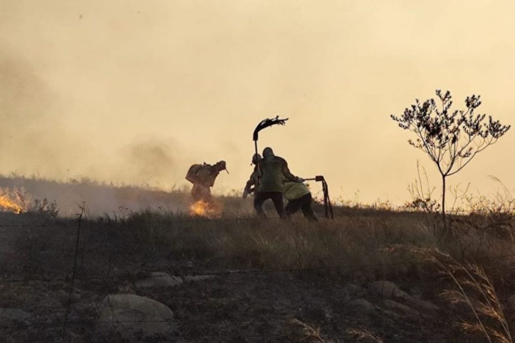 Incêndio serra do cipó