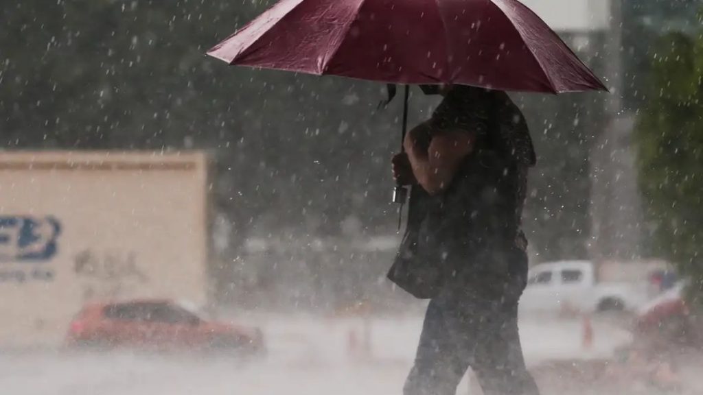 chuva; guarda chuva