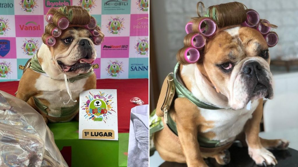 Além de Dona Hermínia, Jussara já se fantasiou de Carmen Miranda e Paquita no Carnaval de Juiz de Fora (Reprodução/Acervo Pessoal)