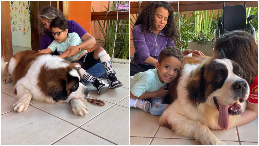 Cães terapeutas visitarão crianças internadas no Hospital das Clínicas da UFMG, em BH
