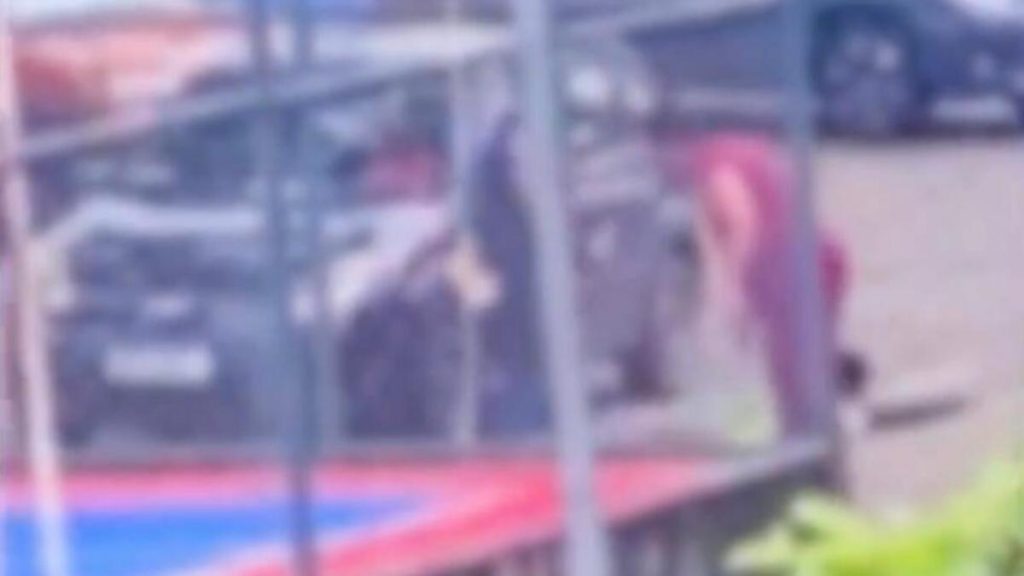 VÍDEO: Professora é suspeita de maus-tratos contra aluno autista, em Nova Lima