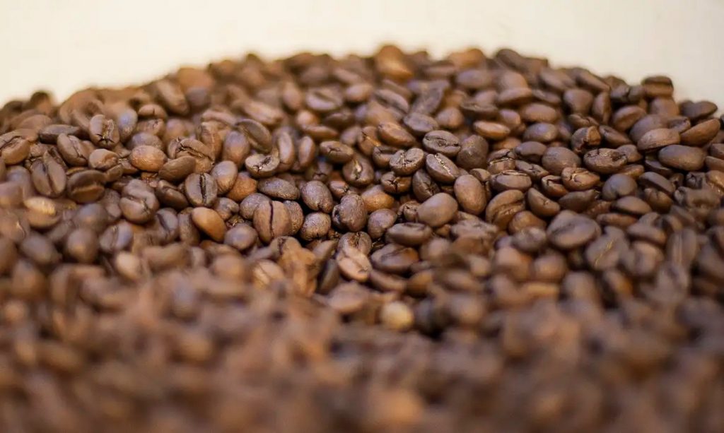Governo café