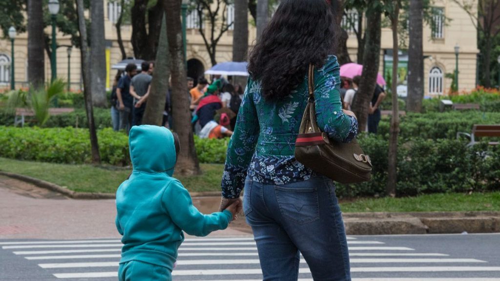 maternidade ibge minas gerais