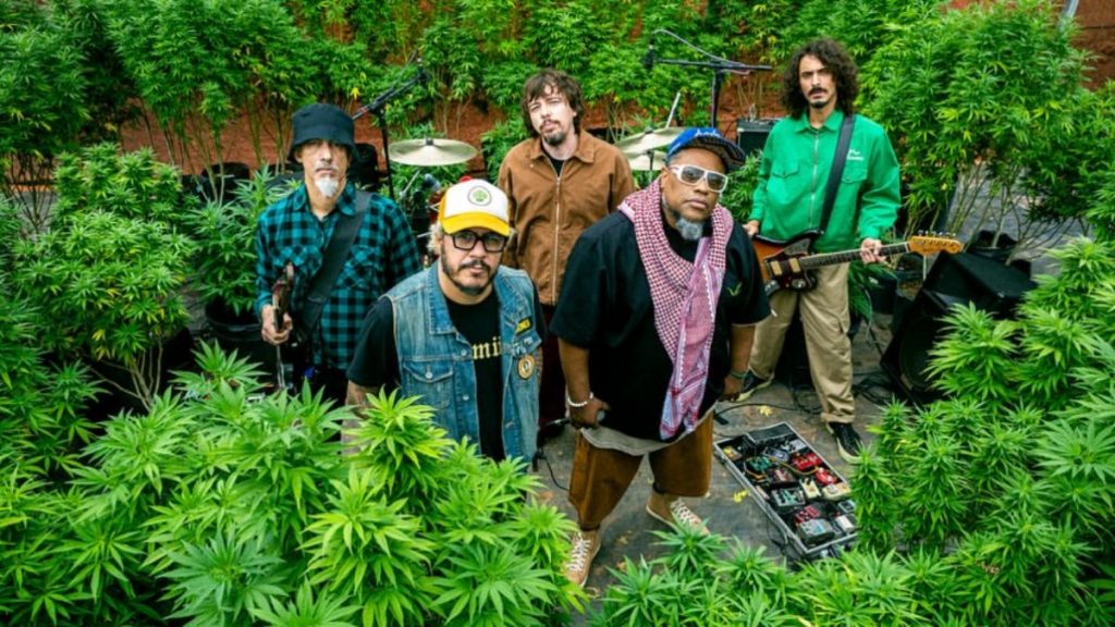 show planet hemp bh