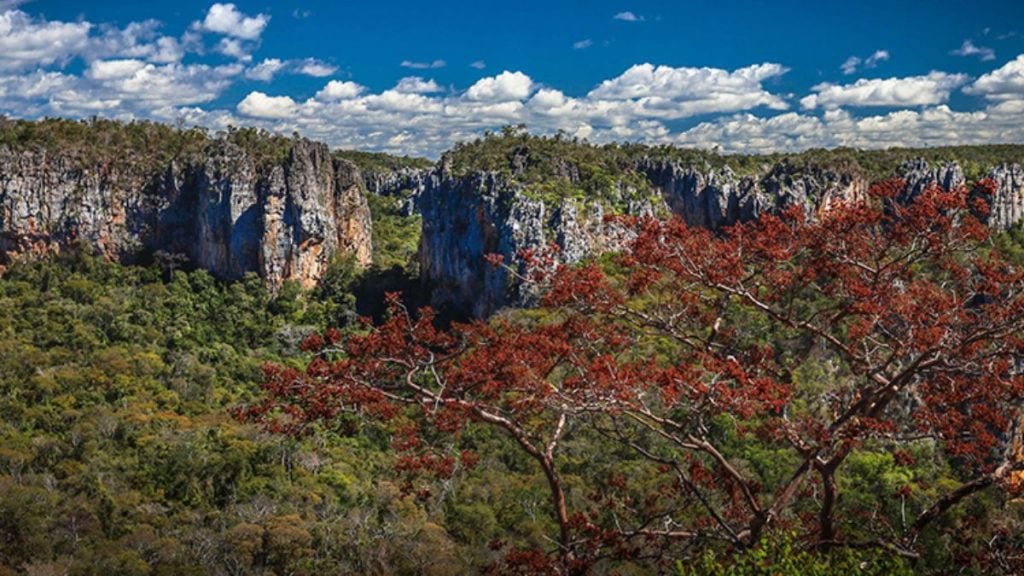 Parque do Peruaçu