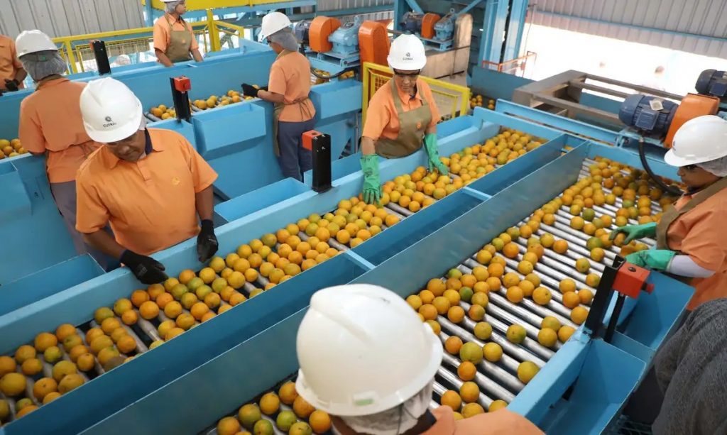Indústria de laranja