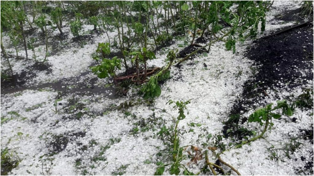 Minas tem 139 cidades sob alerta de tempestade e granizo, diz Inmet