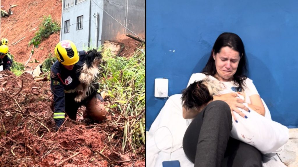 resgate cachorro juiz de fora