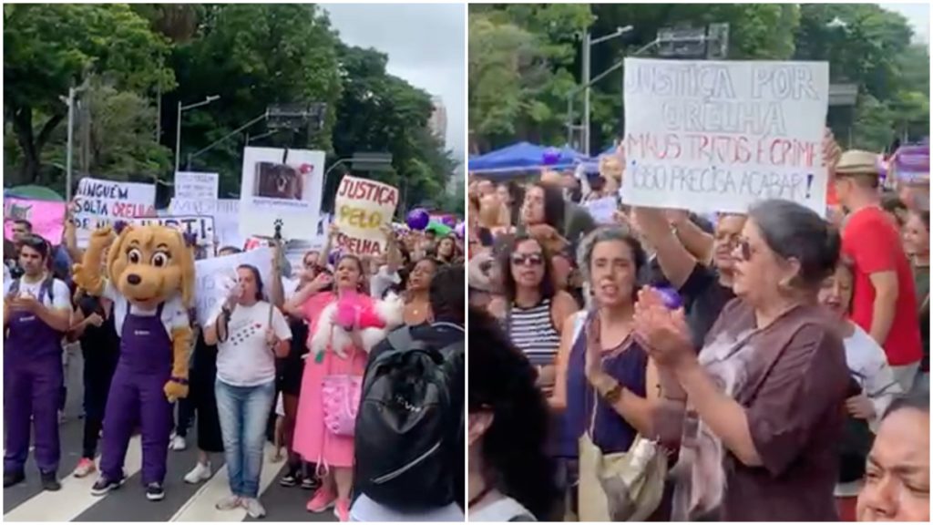 protesto orelha