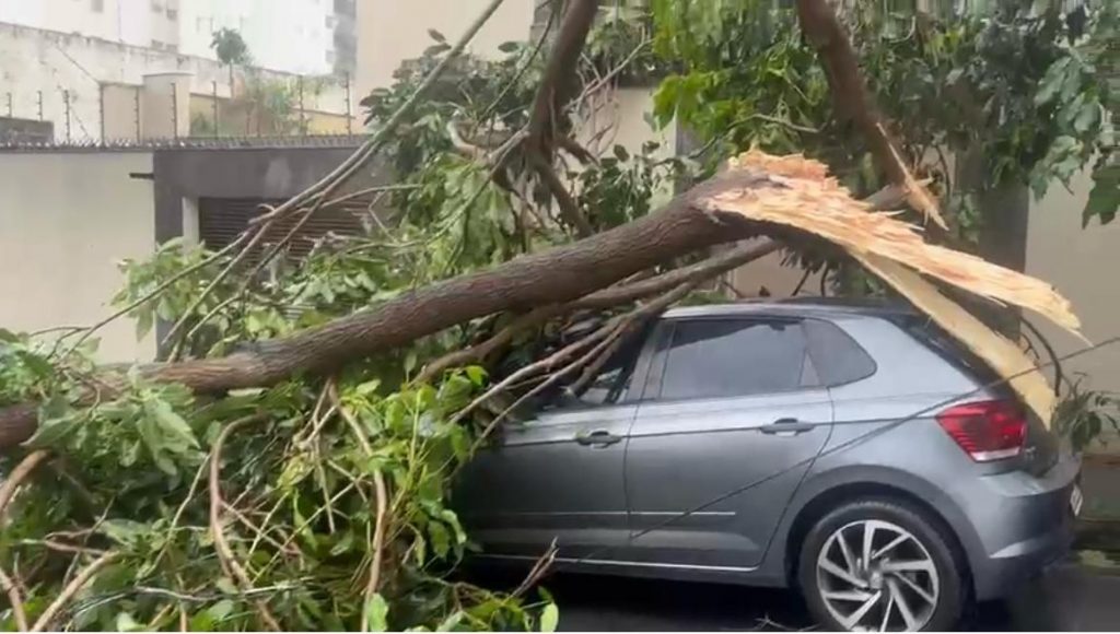 Árvore cai e atinge carro, na rua Jacuí