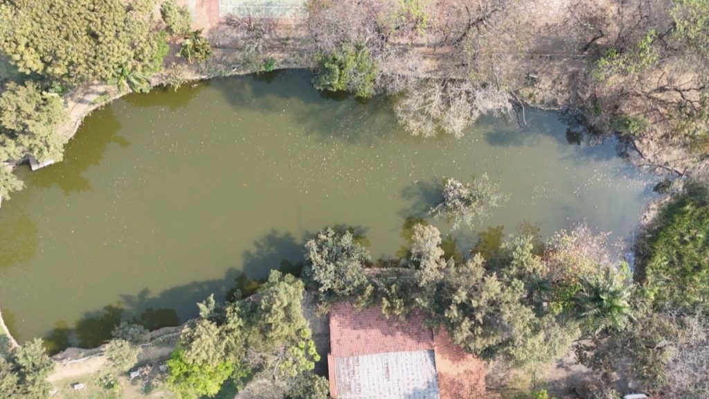 Mata do Lareira é um importante patrimônio verde de BH.