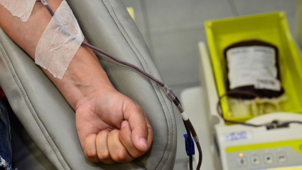 hospital da baleia adia cirurgias