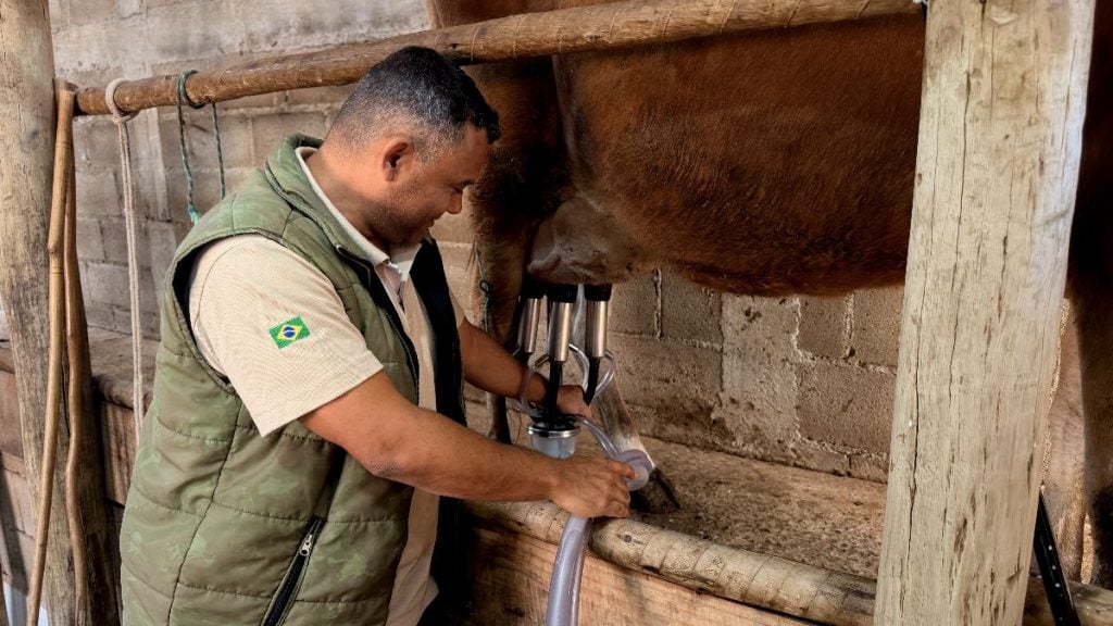 gado de leite fazenda Betim