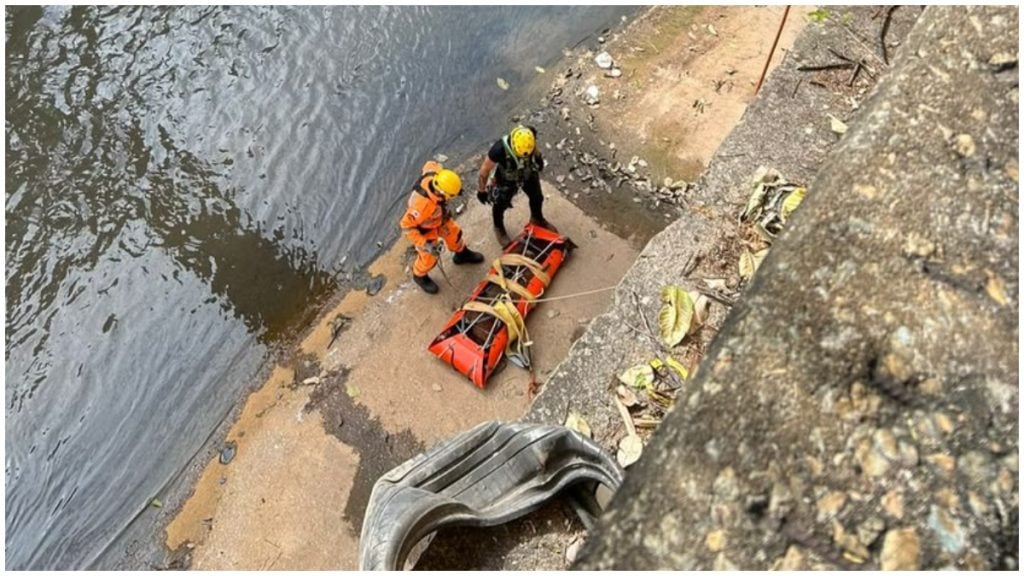 VÍDEO: Potro é resgatado pelos bombeiros após cair no rio Arrudas em BH