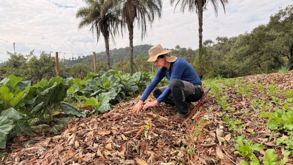caminho alimentos