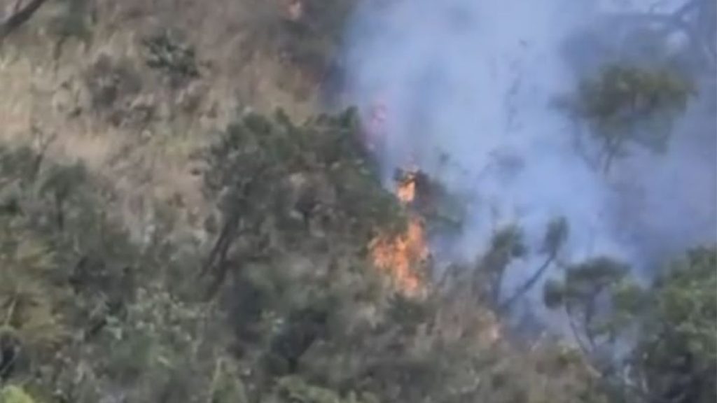 incêndio na Serra do Curral destrói vegetação