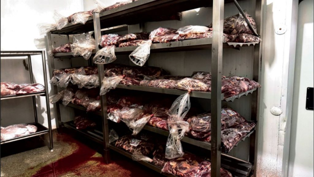 bonoboi alimentos mau armazenamento de carnes