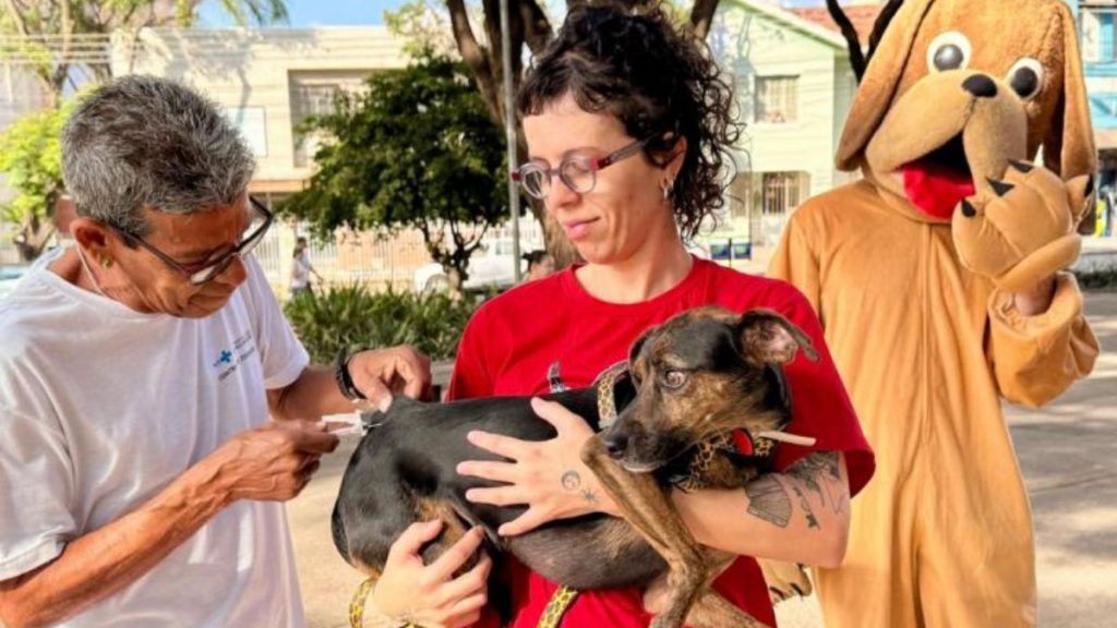 Vacinação contra raiva segue em postos de BH após Dia D; veja onde levar seu pet