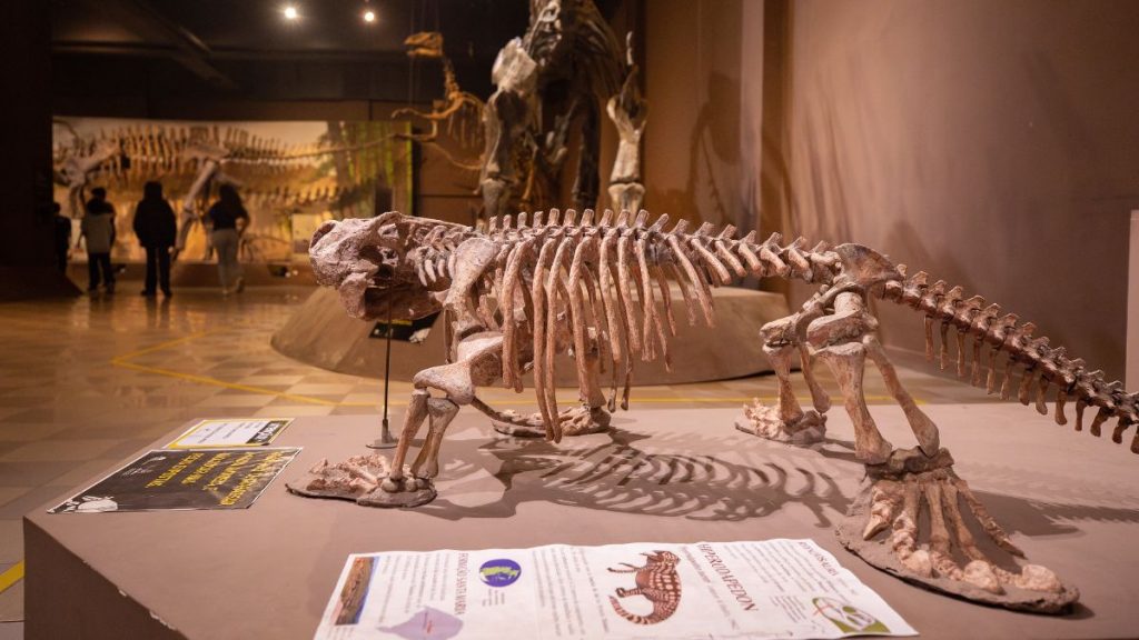 museu puc minas fósseis