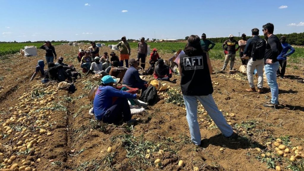 trabalhadores africanos resgatados de fazenda de batata no Sul de Minas