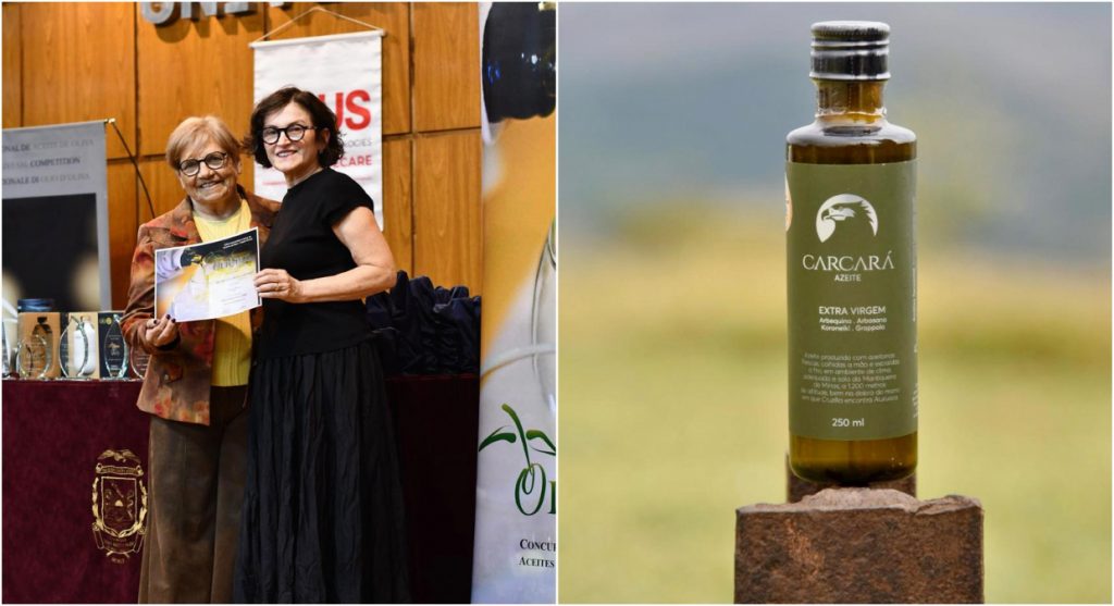 Azeite mineiro produzido no Sul de Minas é premiado como melhor do Brasil