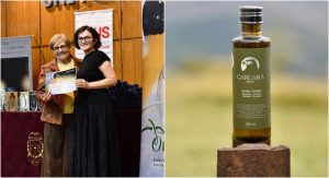 Azeite mineiro produzido no Sul de Minas é premiado como melhor do Brasil