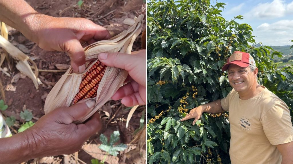 el niño MG inteligência artificial ciência ancestral