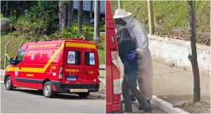 Um idoso, de 73 anos, foi resgatado pelo Corpo de Bombeiros após um ataque de abelhas sofrido na cidade de Andradas, no Sul de Minas