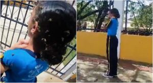 Criança é atacada por exame de abelhas na porta de escola em Ibirité