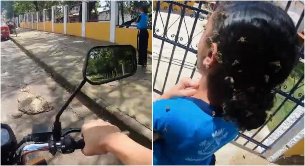 Motoqueiro que resgatou criança de ataque de abelhas em Ibirité diz que pensou nas próprias filhas