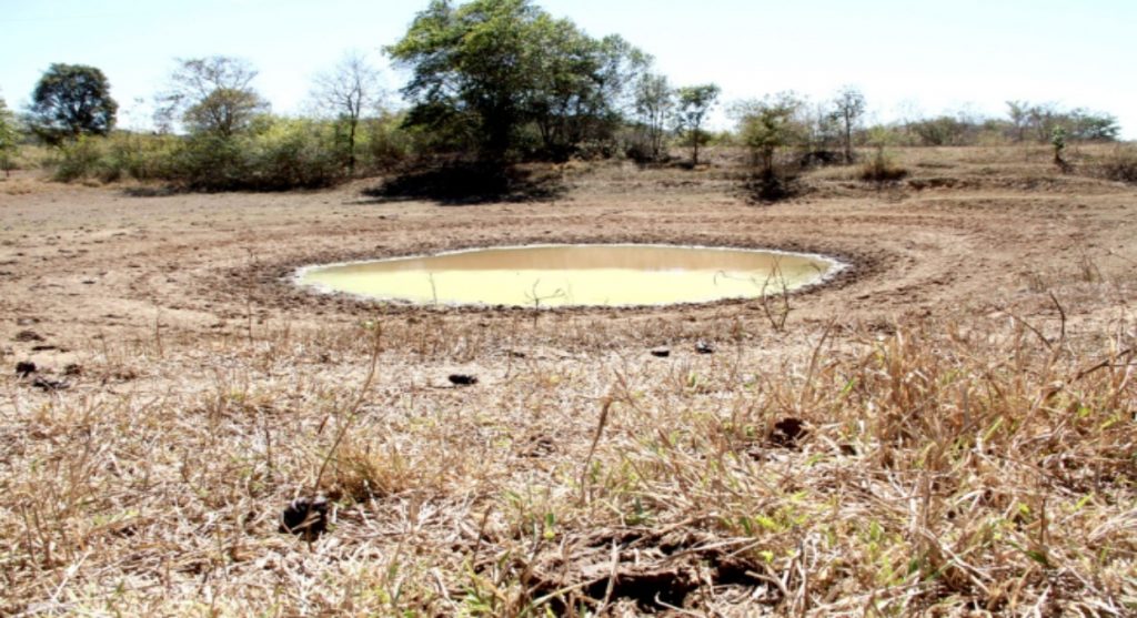 Governo assina decreto para combater danos, como a seca provocada pelo El Niño em Minas Gerais