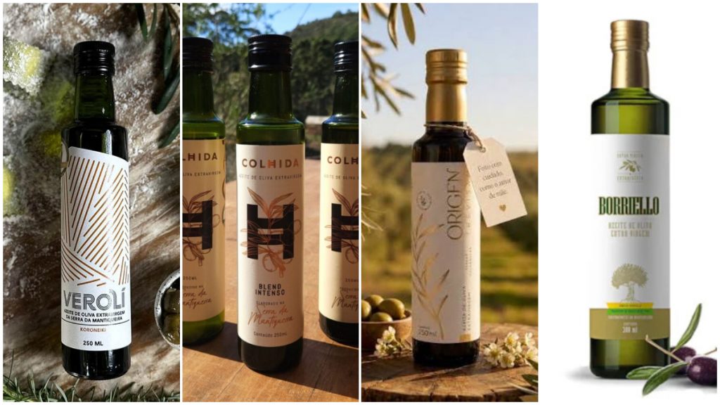 Marcas mineiras de azeite estão entre as melhores do mundo em guia italiano