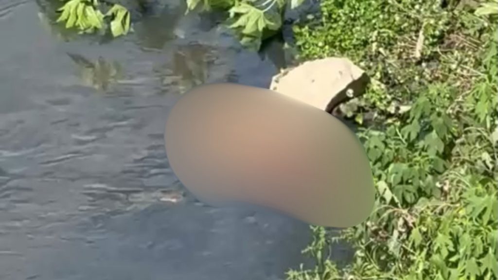 Corpo de uma pessoa, aparentemente do sexo masculino, flutuando perto de plantas na margem do córrego.
