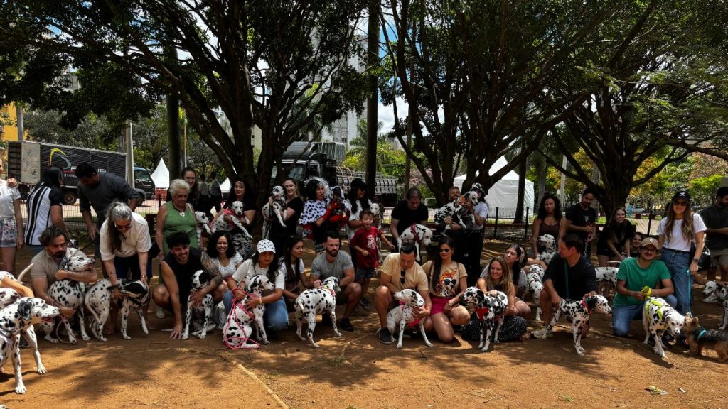 BH recebe 1º Encontro de Dálmatas da cidade neste sábado