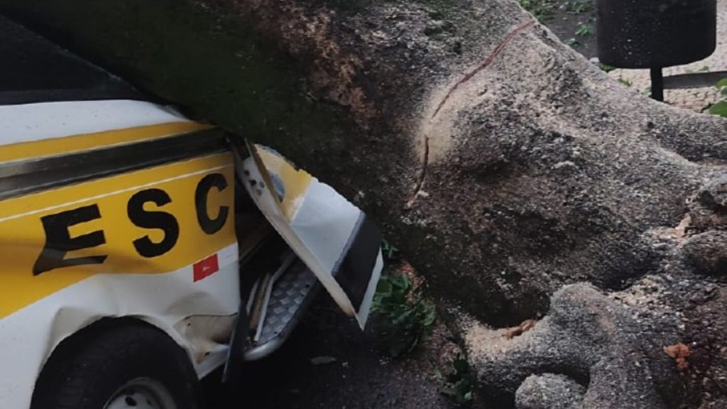 Árvore cai em cima de van escolar após chuvas fortes em Uberlândia