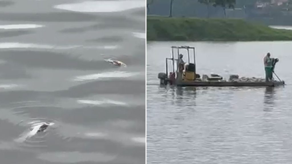 peixes mortos lagoa pampulha bh